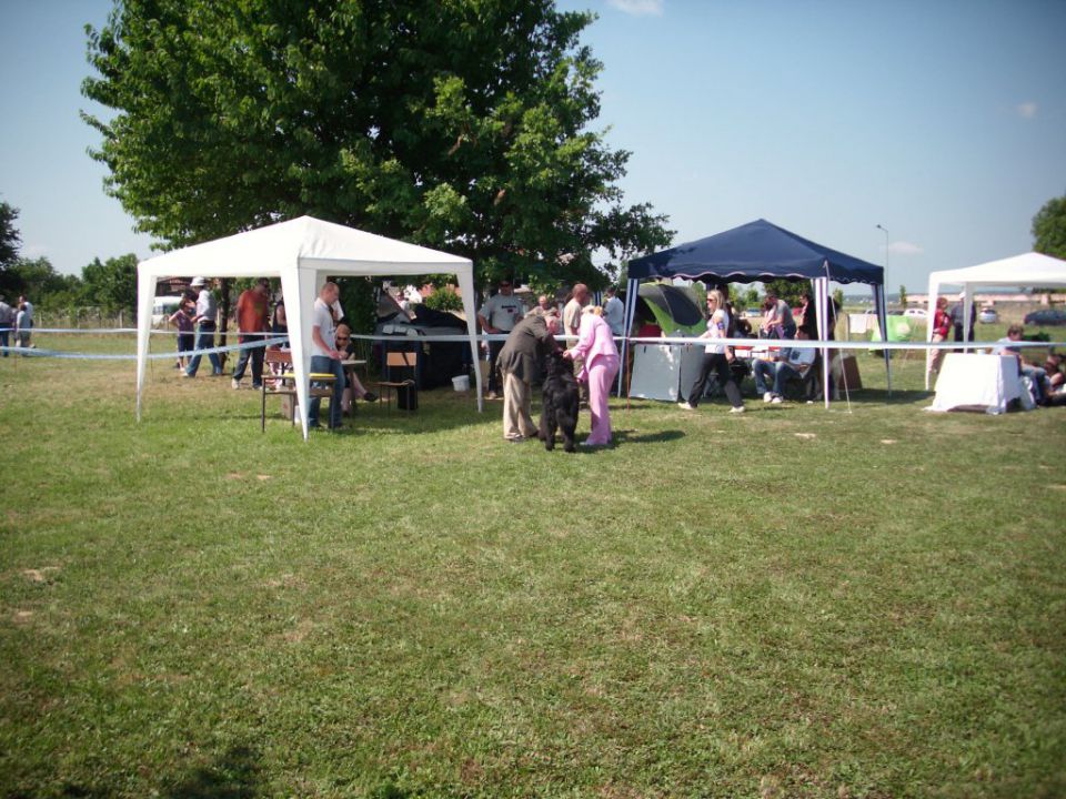 CAC Koprivnica, 12.06.2011 - foto povečava