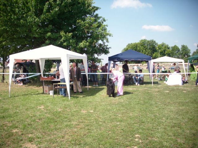 CAC Koprivnica, 12.06.2011 - foto