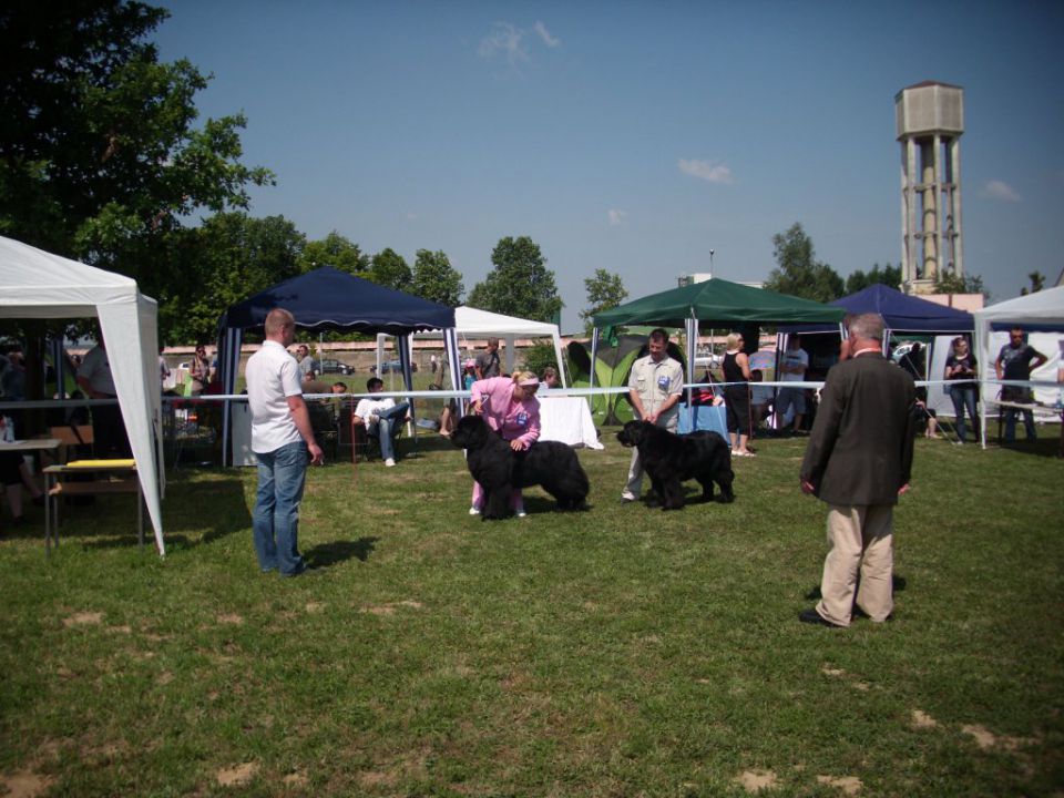 CAC Koprivnica, 12.06.2011 - foto povečava