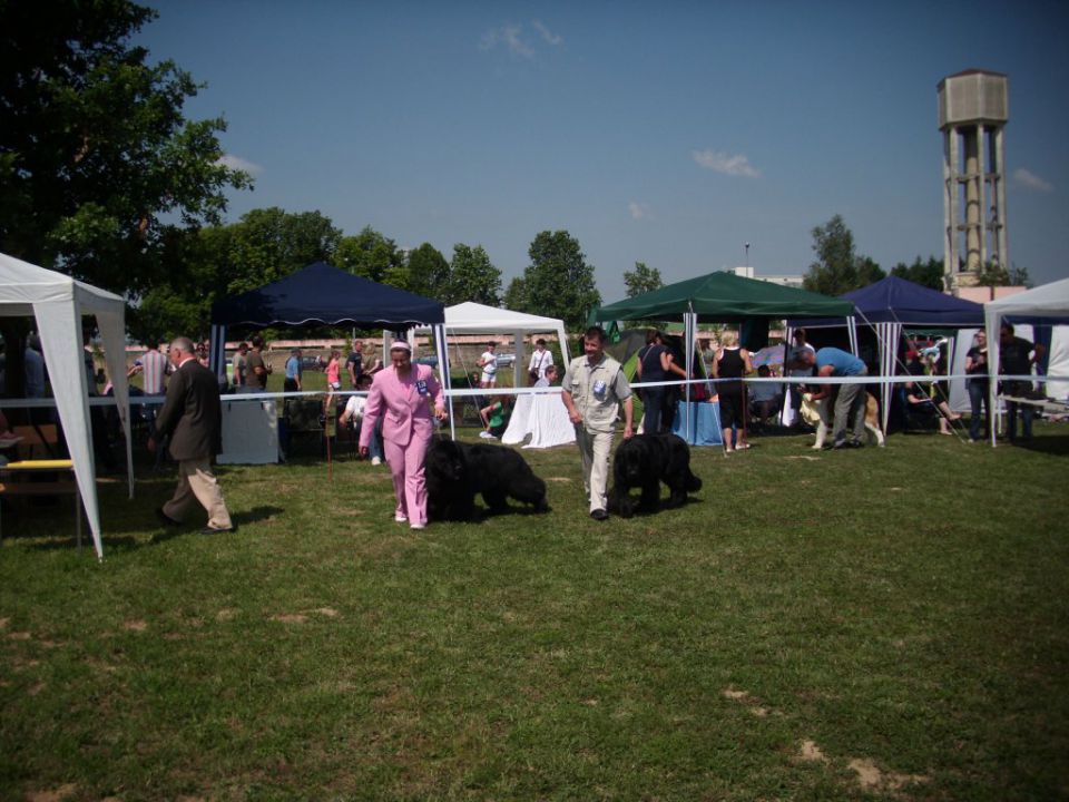 CAC Koprivnica, 12.06.2011 - foto povečava