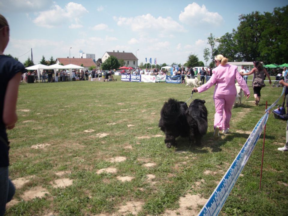 CAC Koprivnica, 12.06.2011 - foto povečava