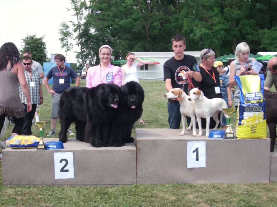 CAC Koprivnica, 12.06.2011 - foto povečava