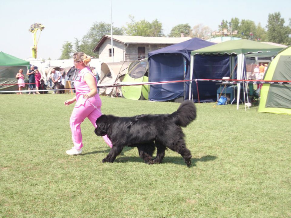 CAC SAMOBOR, 27.08.2011 - foto povečava