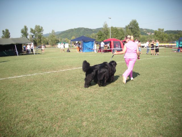 CAC SAMOBOR, 27.08.2011 - foto