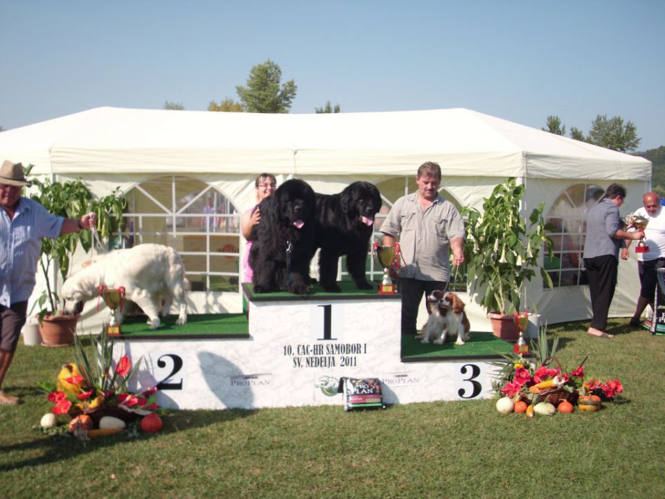 CAC SAMOBOR, 27.08.2011 - foto povečava