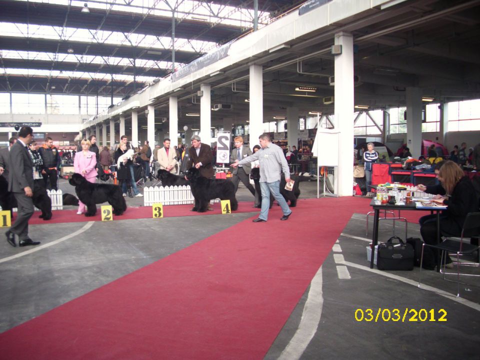 CACIB Zagreb 03. - 04. 03. 2012 - foto povečava