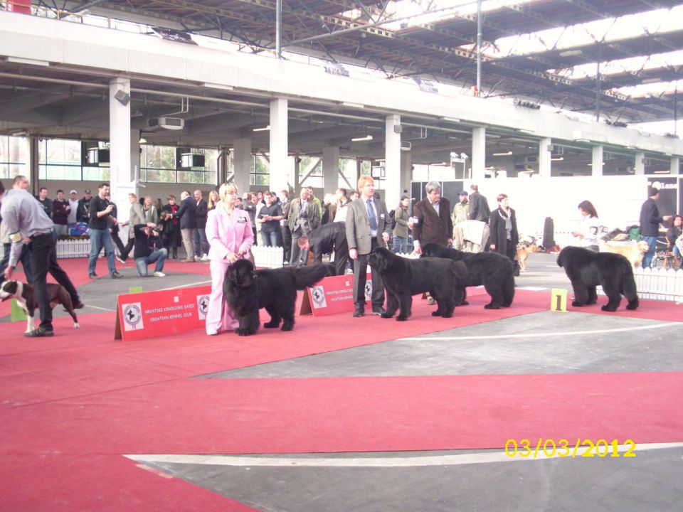 CACIB Zagreb 03. - 04. 03. 2012 - foto povečava