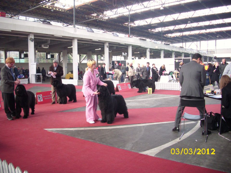 CACIB Zagreb 03. - 04. 03. 2012 - foto povečava