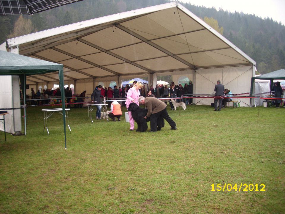 CAC Barje, 17.04.2012 - foto povečava