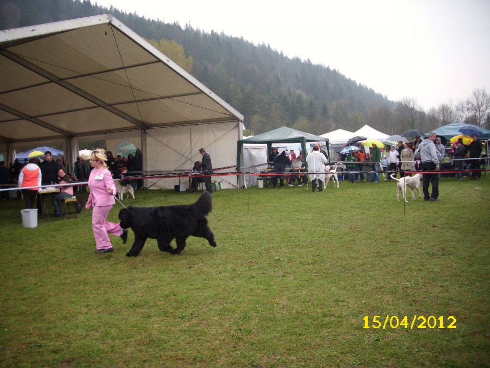 CAC Barje, 17.04.2012 - foto povečava