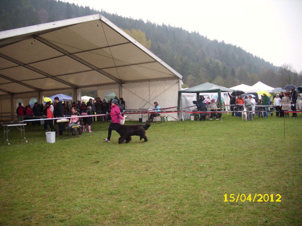 CAC Barje, 17.04.2012 - foto povečava