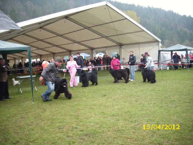 CAC Barje, 17.04.2012 - foto