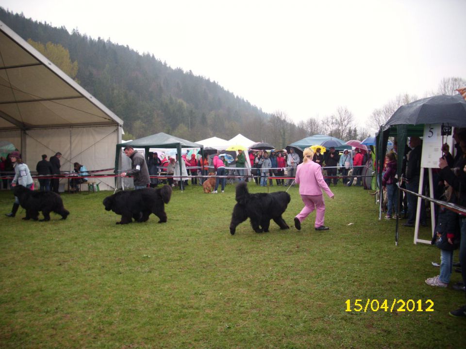 CAC Barje, 17.04.2012 - foto povečava