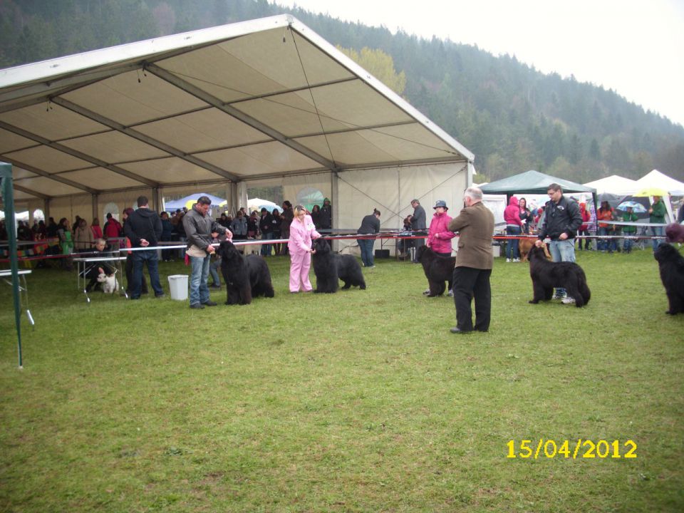 CAC Barje, 17.04.2012 - foto povečava