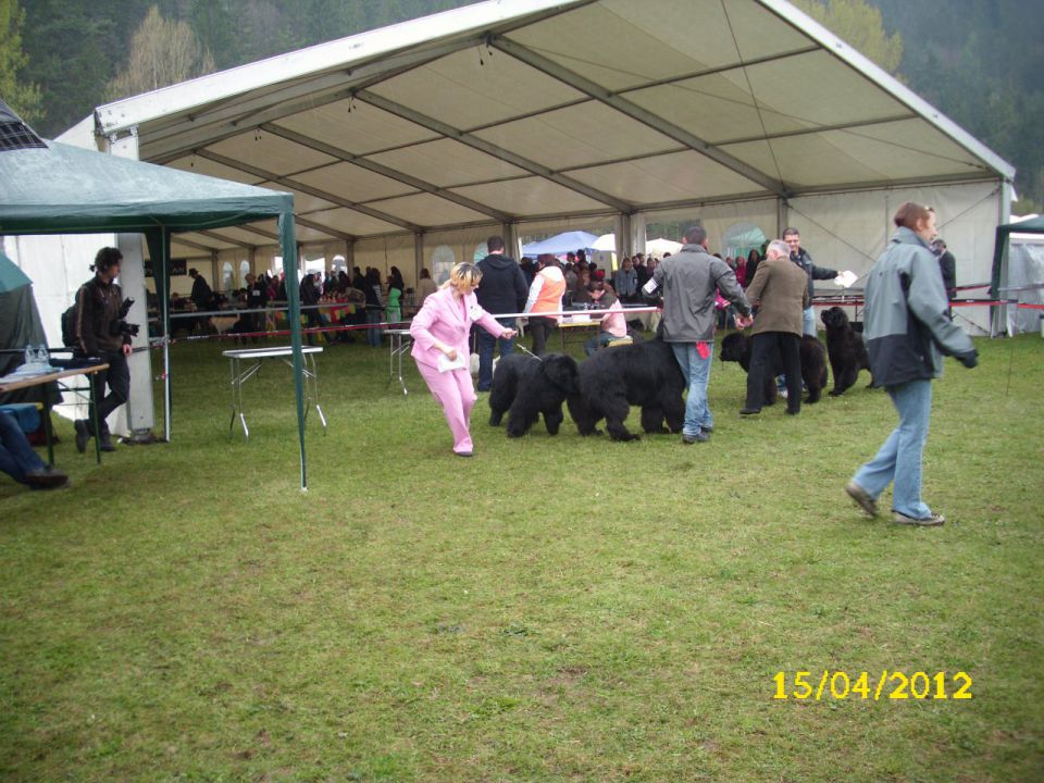 CAC Barje, 17.04.2012 - foto povečava