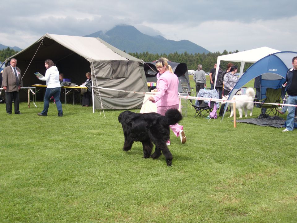 CAC Koroška, 13.05.2012 - foto povečava