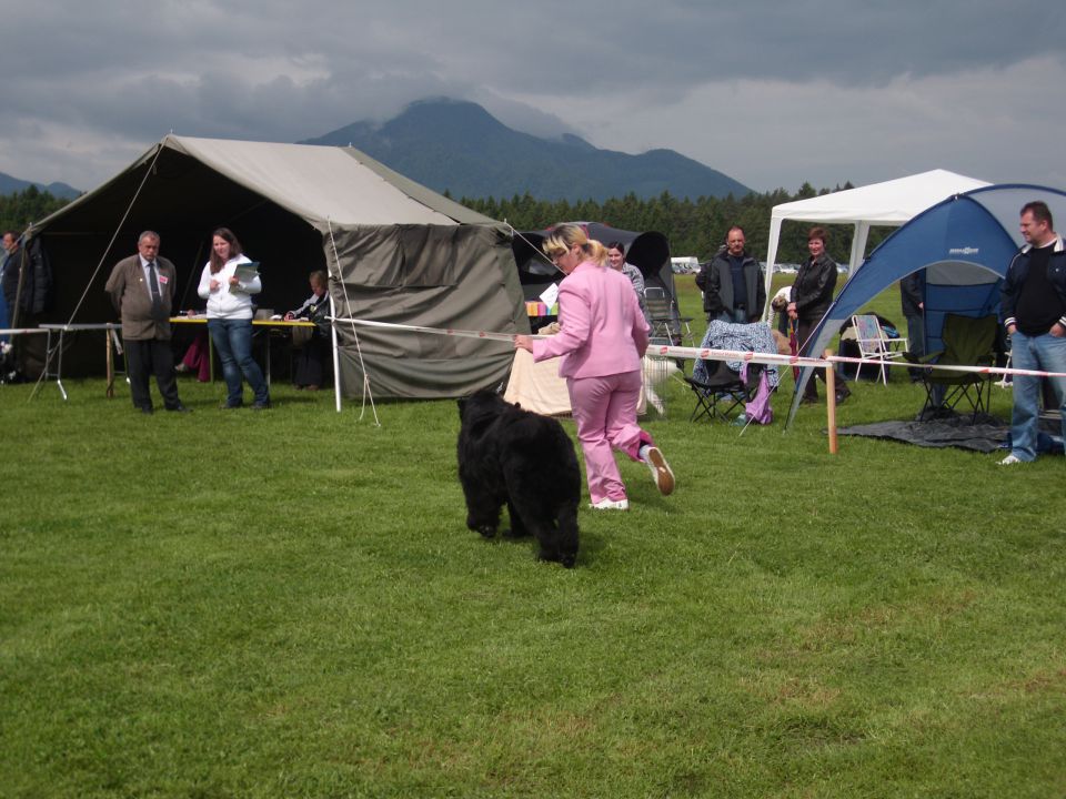 CAC Koroška, 13.05.2012 - foto povečava