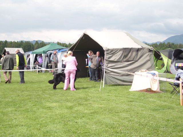 CAC Koroška, 13.05.2012 - foto