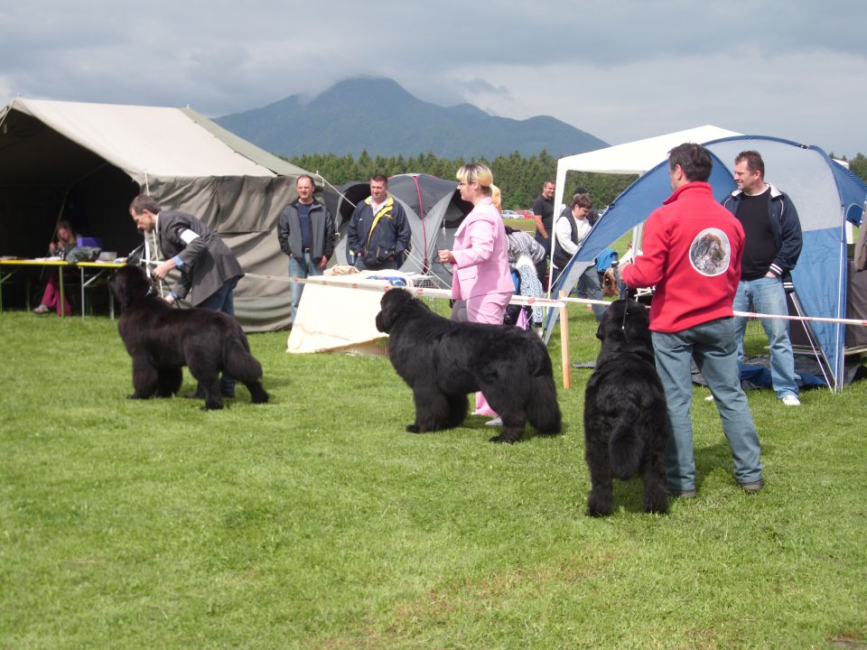 CAC Koroška, 13.05.2012 - foto povečava