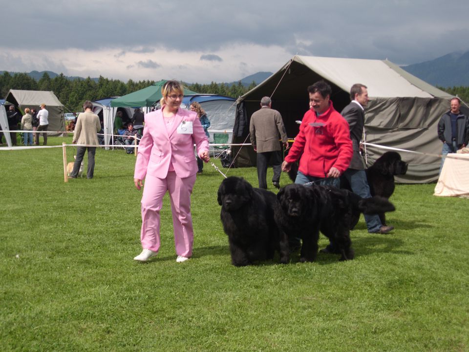 CAC Koroška, 13.05.2012 - foto povečava