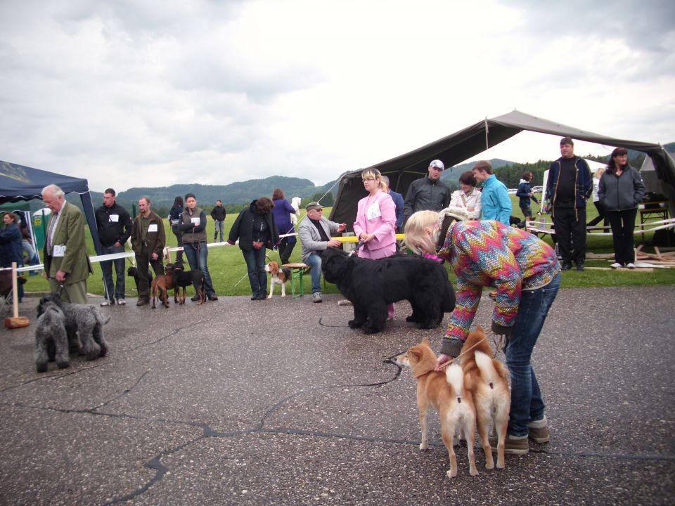 CAC Koroška, 13.05.2012 - foto povečava