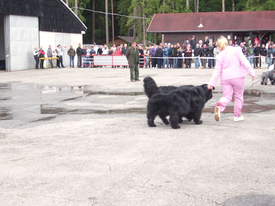 CAC Koroška, 13.05.2012 - foto povečava