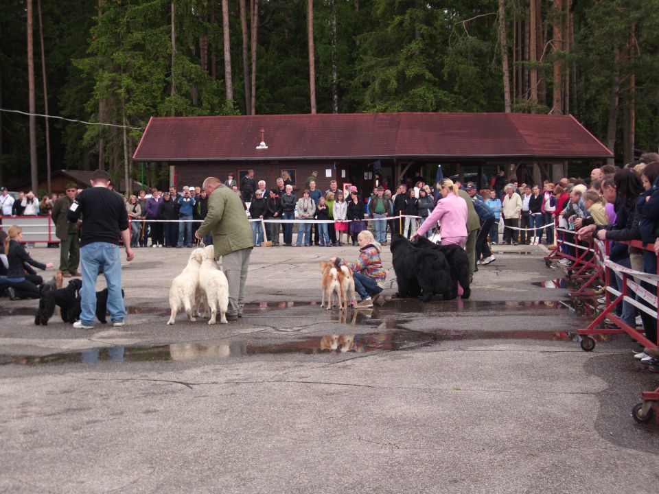 CAC Koroška, 13.05.2012 - foto povečava