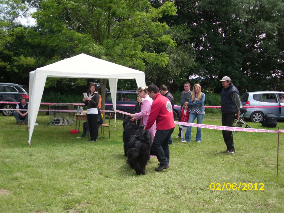 CAC Novi Marof, 02.06.2012 - foto povečava