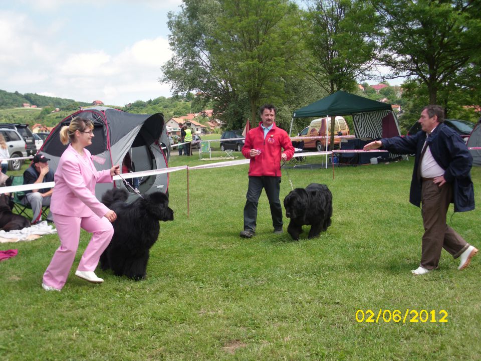 CAC Novi Marof, 02.06.2012 - foto povečava