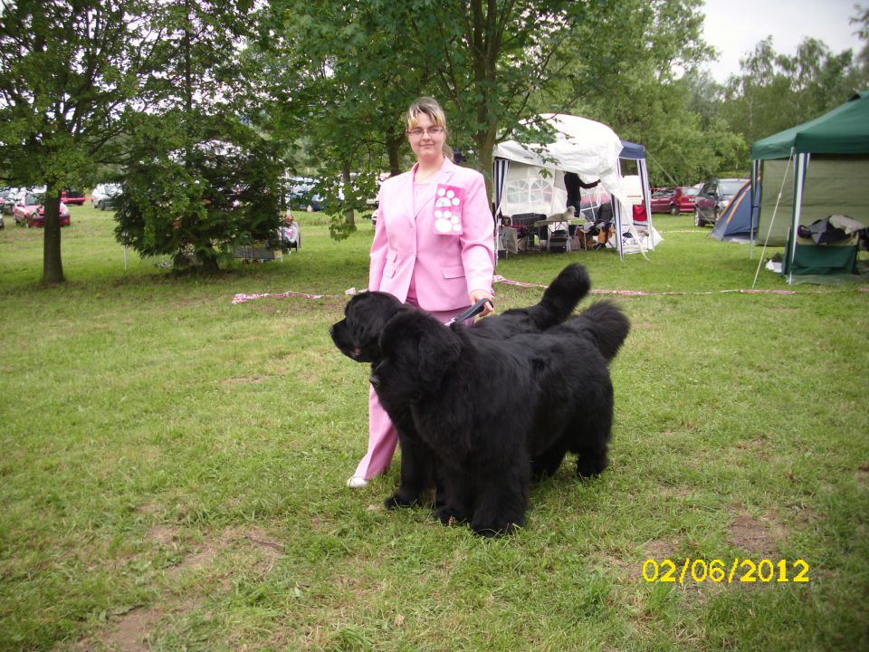 CAC Novi Marof, 02.06.2012 - foto povečava