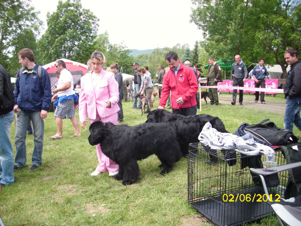 CAC Novi Marof, 02.06.2012 - foto povečava