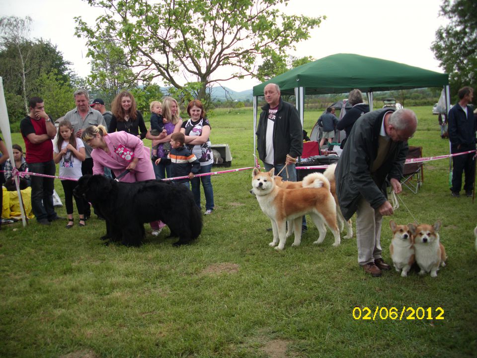 CAC Novi Marof, 02.06.2012 - foto povečava