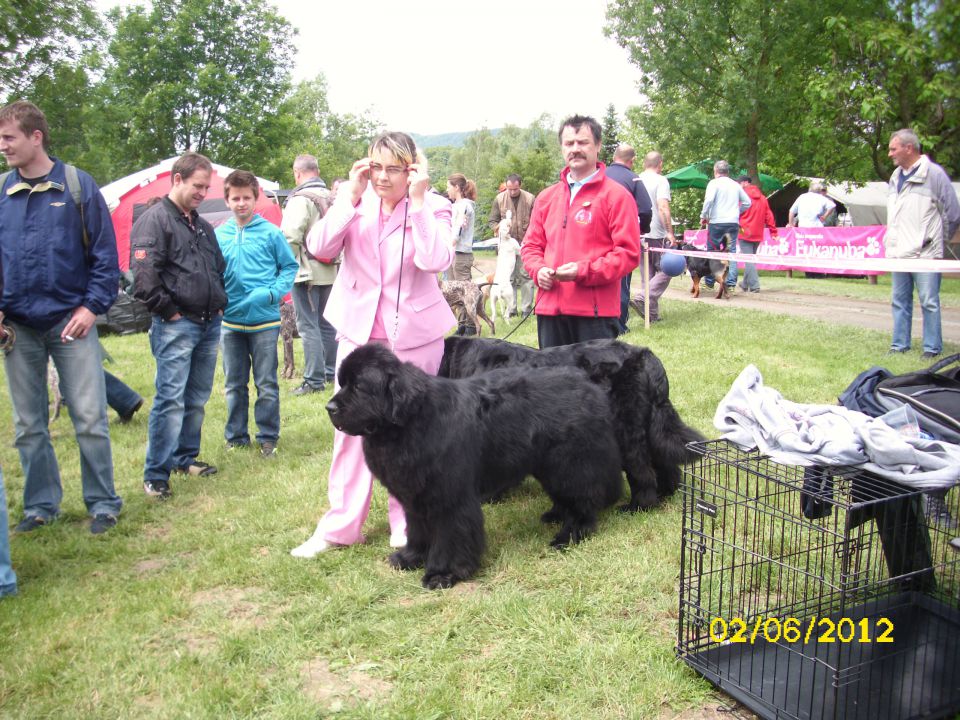 CAC Novi Marof, 02.06.2012 - foto povečava