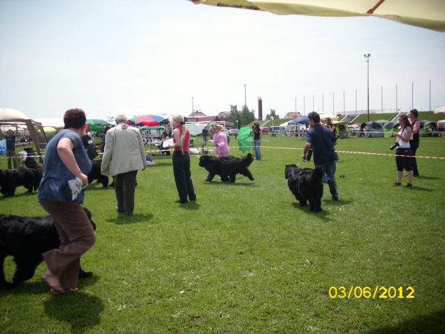 CAC Velika Gorica, 03.06.2012 - foto