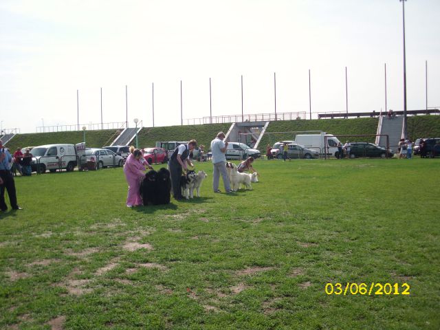 CAC Velika Gorica, 03.06.2012 - foto