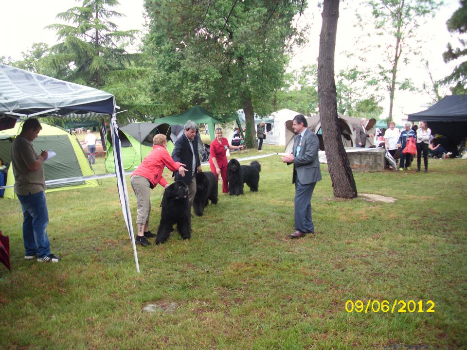 CACIB Umag, 09.06.2012 - foto povečava