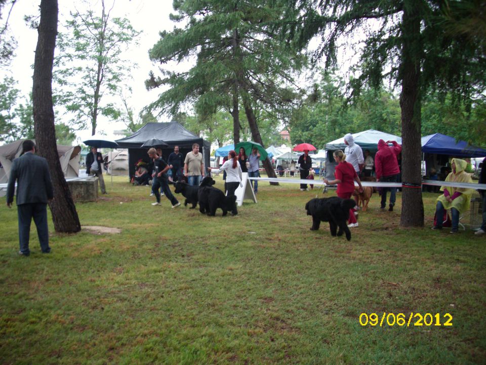 CACIB Umag, 09.06.2012 - foto povečava