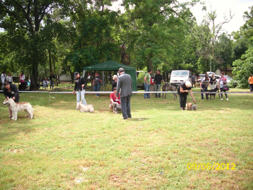 CACIB Umag, 09.06.2012 - foto povečava
