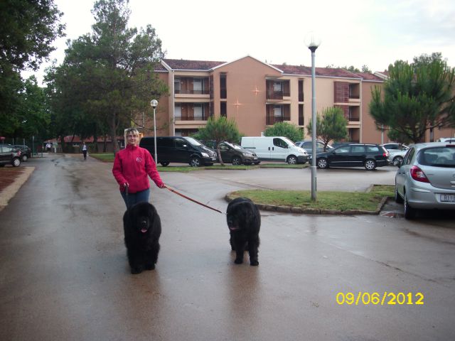 CACIB Umag, 09.06.2012 - foto