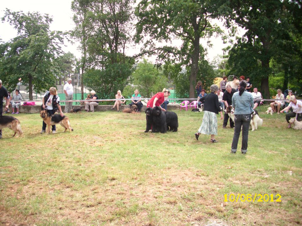 CACIB Umag, 10.06.2012 - foto povečava