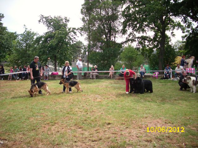 CACIB Umag, 10.06.2012 - foto