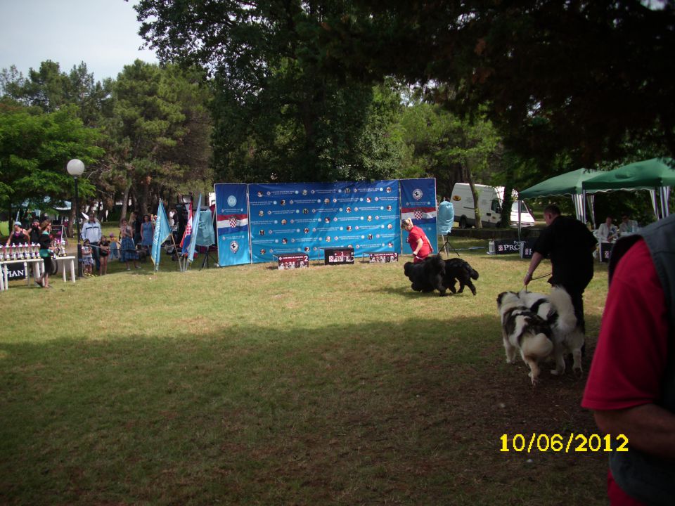 CACIB Umag, 10.06.2012 - foto povečava