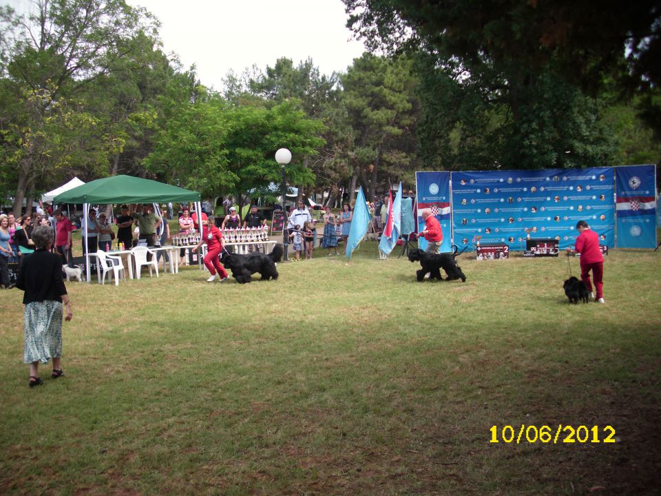 CACIB Umag, 10.06.2012 - foto povečava