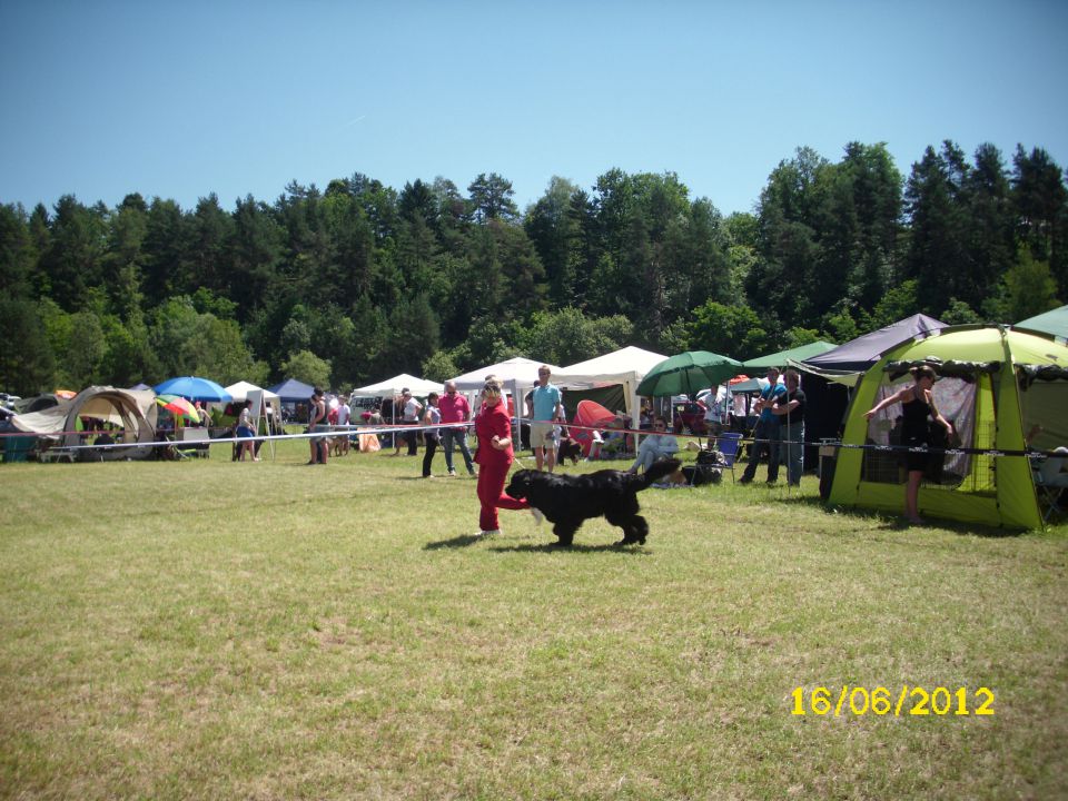 CACIB Bled, 16.06.2012 - foto povečava