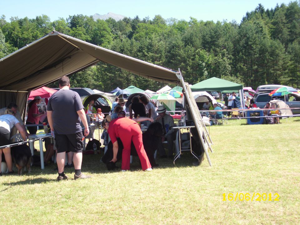 CACIB Bled, 16.06.2012 - foto povečava