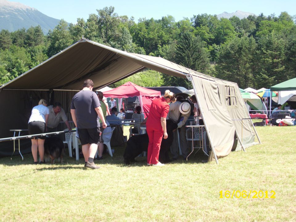 CACIB Bled, 16.06.2012 - foto povečava