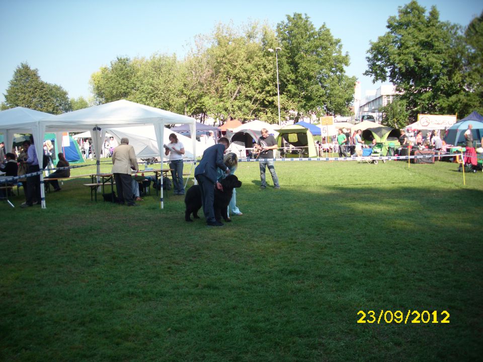 CACIB POHORJE, 23.09.2012 - foto povečava