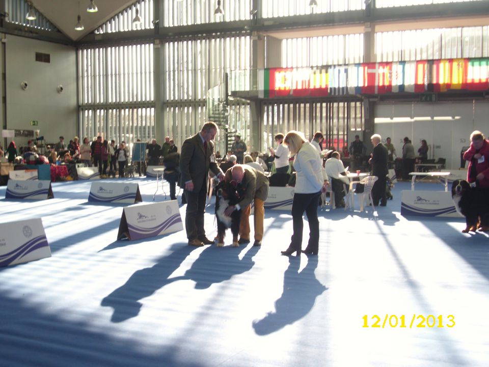 CACIB Ljubljana, 12.01.2013 - foto povečava