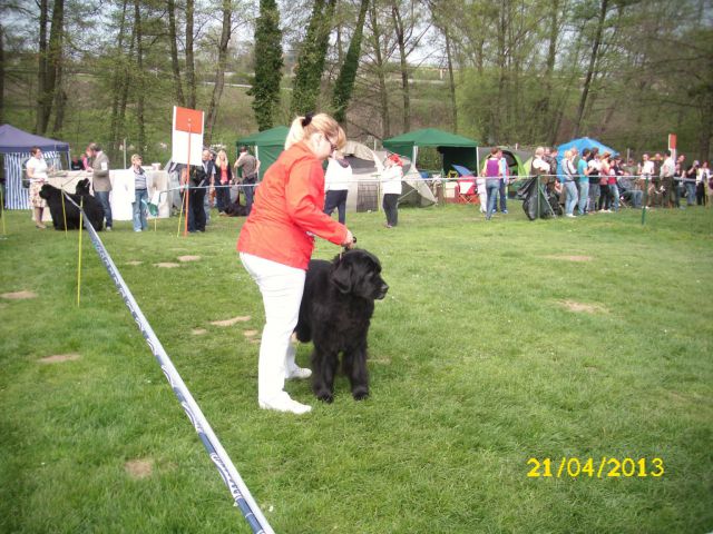 CACIB Pohorje, 21.04.2013 - foto