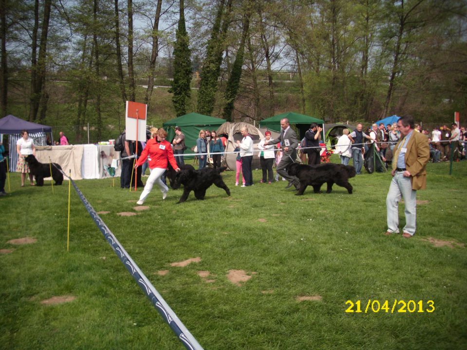 CACIB Pohorje, 21.04.2013 - foto povečava